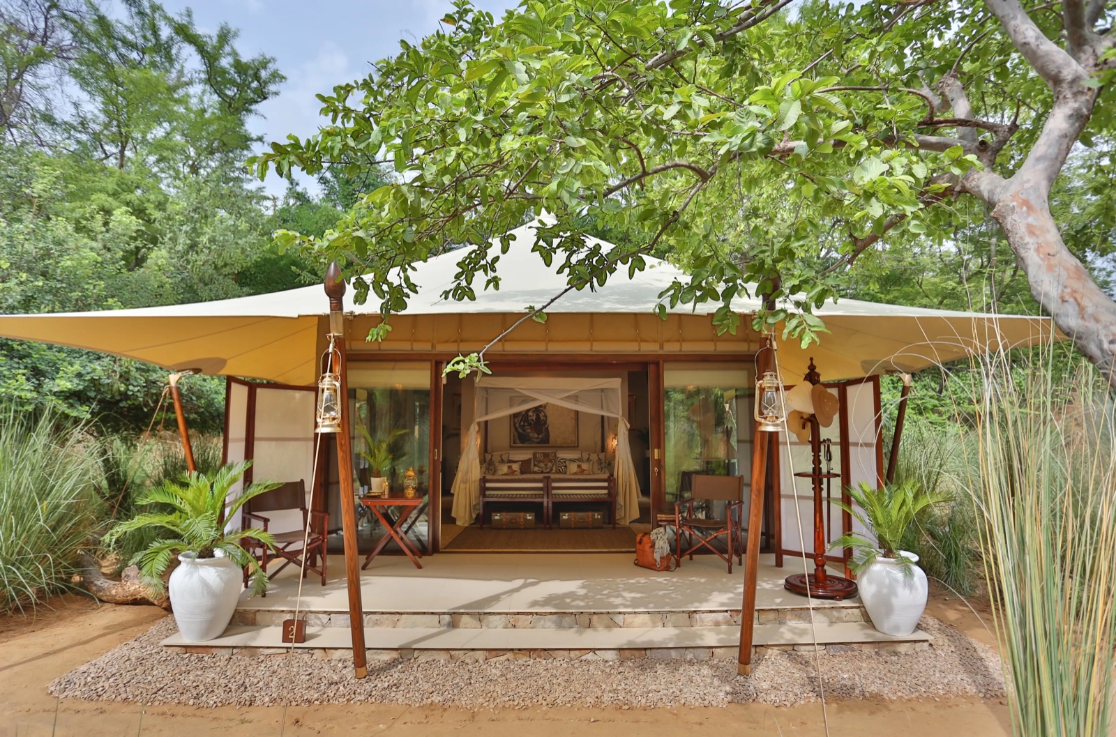 Tented suite exterior beneath the trees