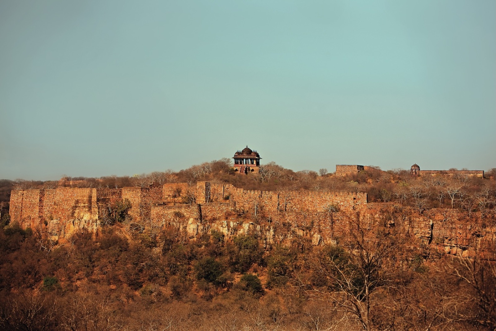 Ranthambhore Fort — an 8th-century citadel