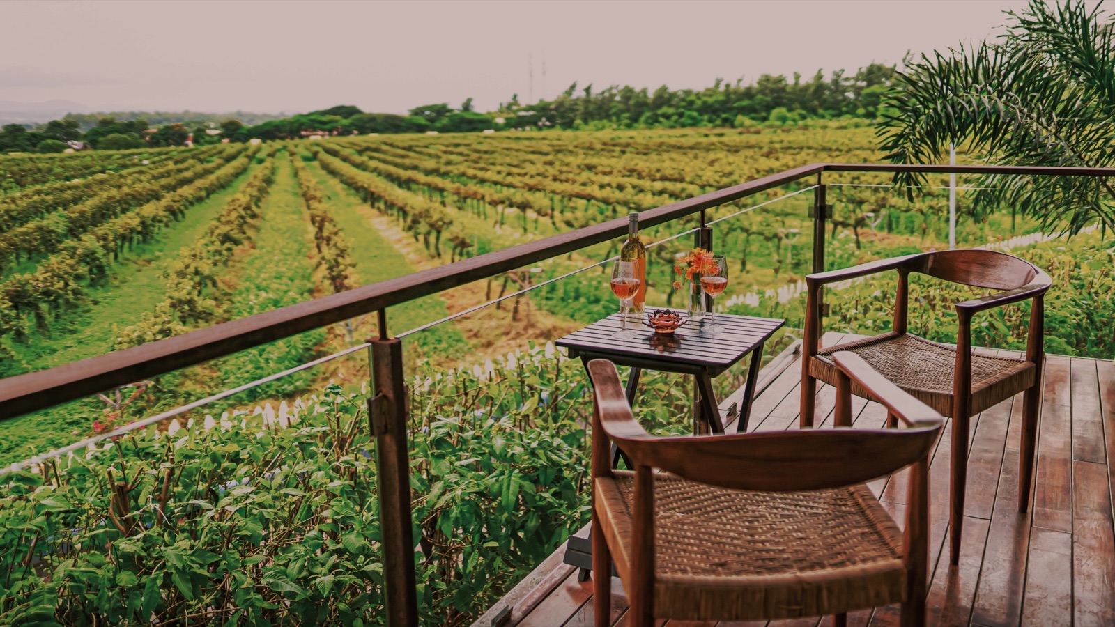 A wooden deck with two cane-seat chairs and a small table holding a bottle of wine and two glasses of rose, overlooking long green rows of vineyard stretching to trees and distant 